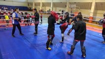 Kick Boks Milli Takımı'nda Avrupa Şampiyonası hazırlıkları - NİĞDE