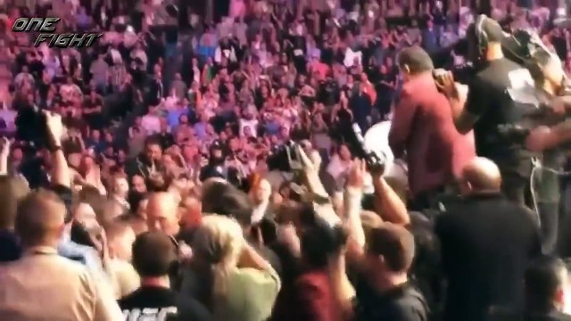 МАССОВАЯ ДРАКА, ПОСЛЕ БОЯ ХАБИБА НУРМАГОМЕДОВА И КОНОРА МАГРЕГОРА