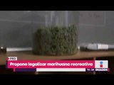PRD propone legalizar la marihuana recreativa | Noticias con Yuriria