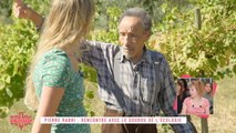 Pierre Rabhi : rencontre avec le gourou de l'écologie - Clique Dimanche du 07/10 - CANAL+