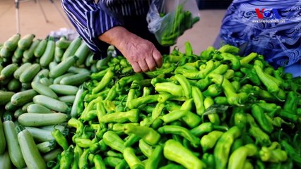 Mersin’de Enflasyon Artışı Çarşı Pazarı Nasıl Etkiledi?