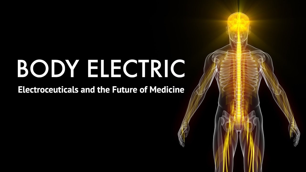 FMTV - Body Electric (TRAILER)