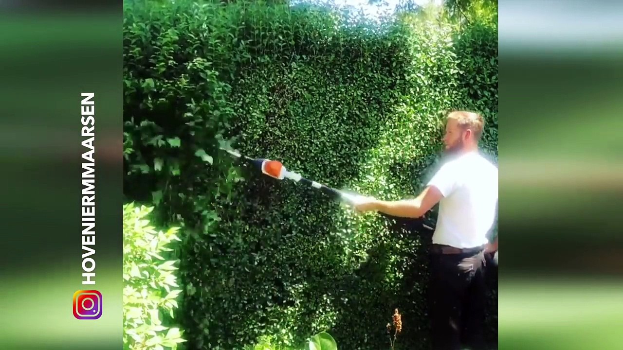 Oddly Satisfying Video