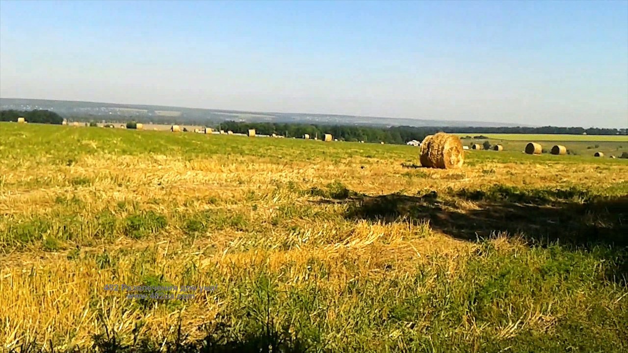 Осеенее поле