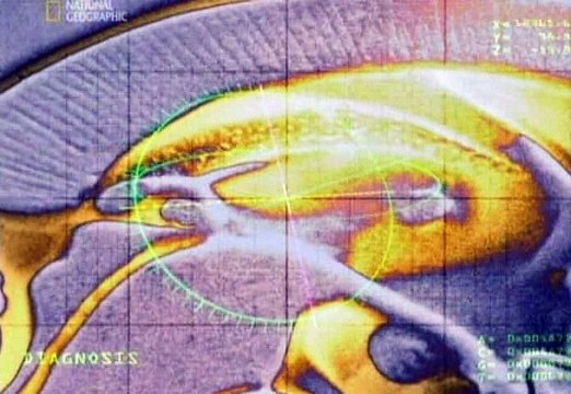 Mindennapi Tudomány - 0403 Stone Age Apocalypse