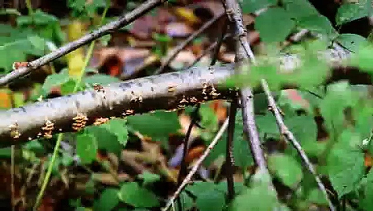 killing.spree.s01e01