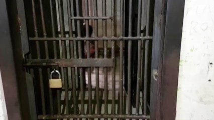 Rapaz é detido acusado de estuprar a irmã no Novo Milênio