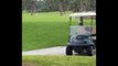 Shocking Huge Alligator Walks Across Golf Course