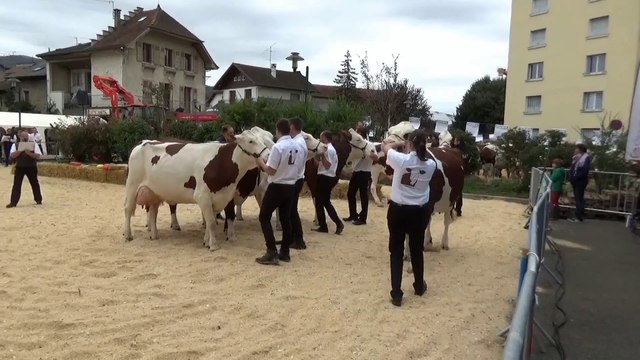 Foire de Rumilly 2018 : chevaux et vaches rois de la fête