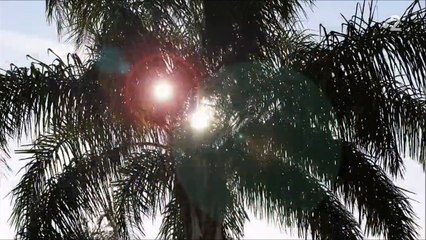 Amour, Gloire et Beauté - Générique 2017