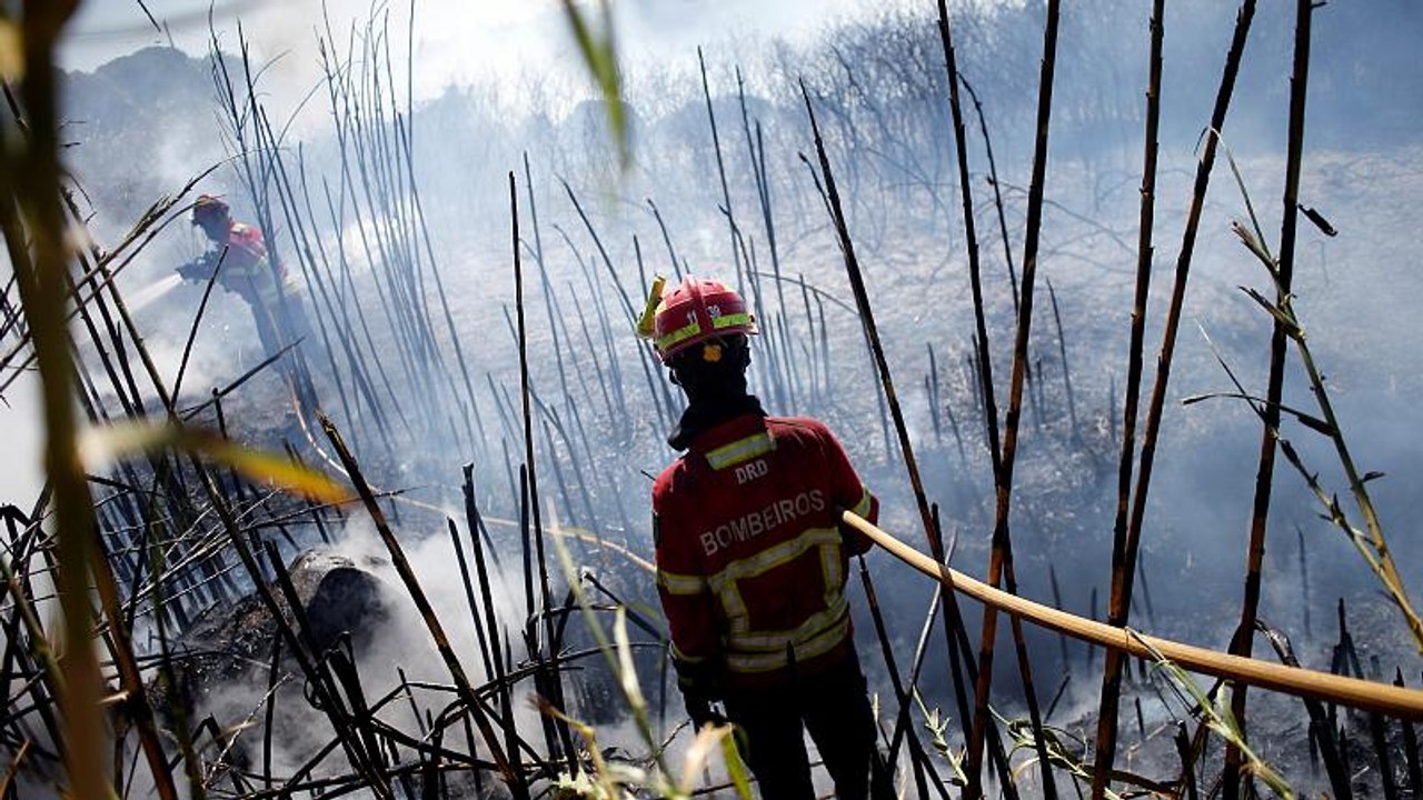 Incêndio em Sintra dominado