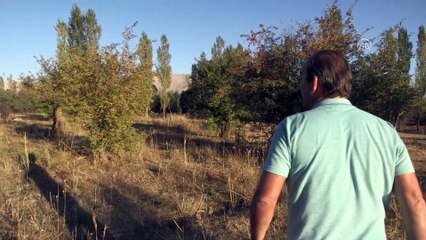 'Dünya Kuş Gözlem Günü' - NİĞDE