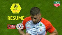 EA Guingamp - Montpellier Hérault SC (1-1)  - Résumé - (EAG-MHSC) / 2018-19
