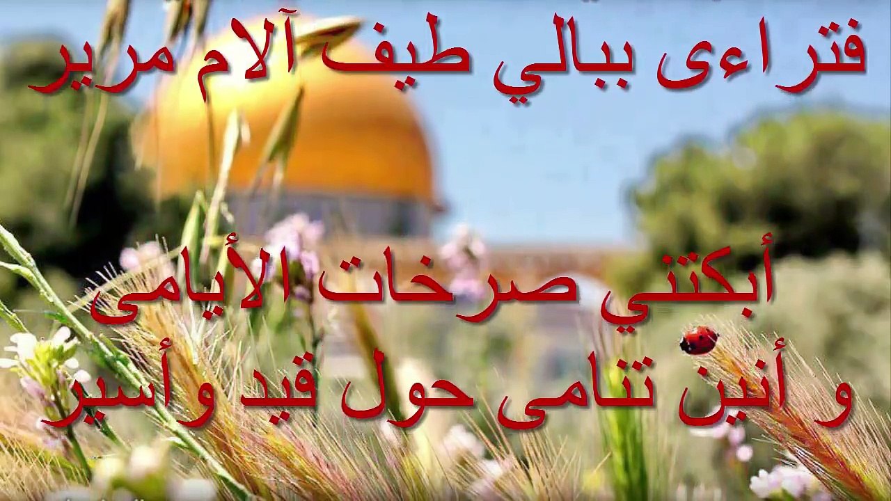 (أنشودة هزتني - للمنشد محمد مطري  ( رائعة