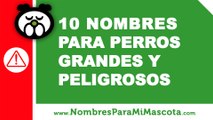 10 nombres para perros grandes y peligrosos - www.nombresparamimascota.com