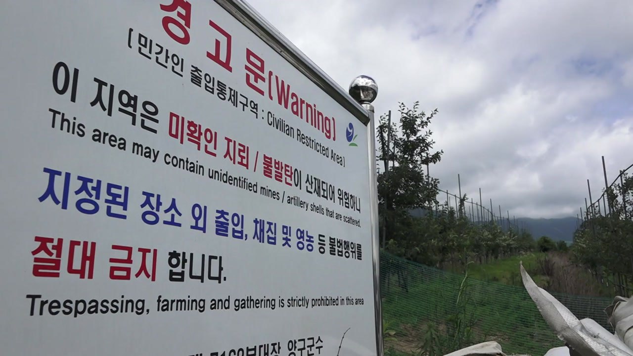 남북 공동 지뢰제거 시작...접경지 지뢰 제거는 언제쯤? / YTN