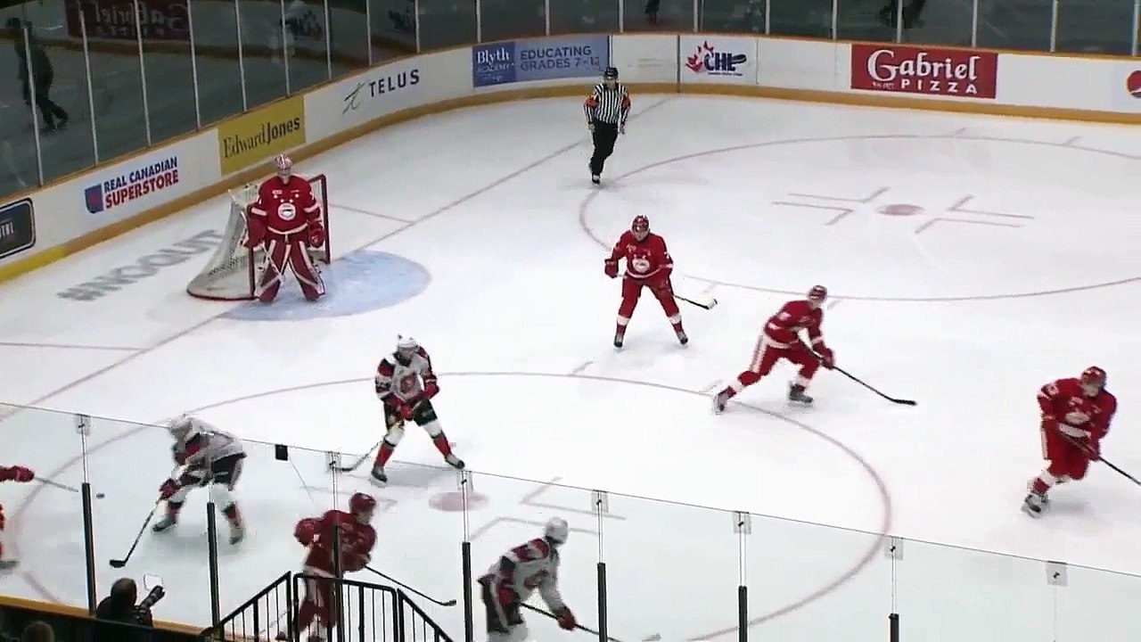 Roman Pucek Dangles