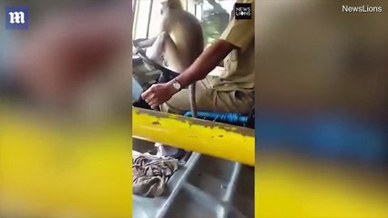 قرد يقود حافلة ممتلئة بالركاب في الهند