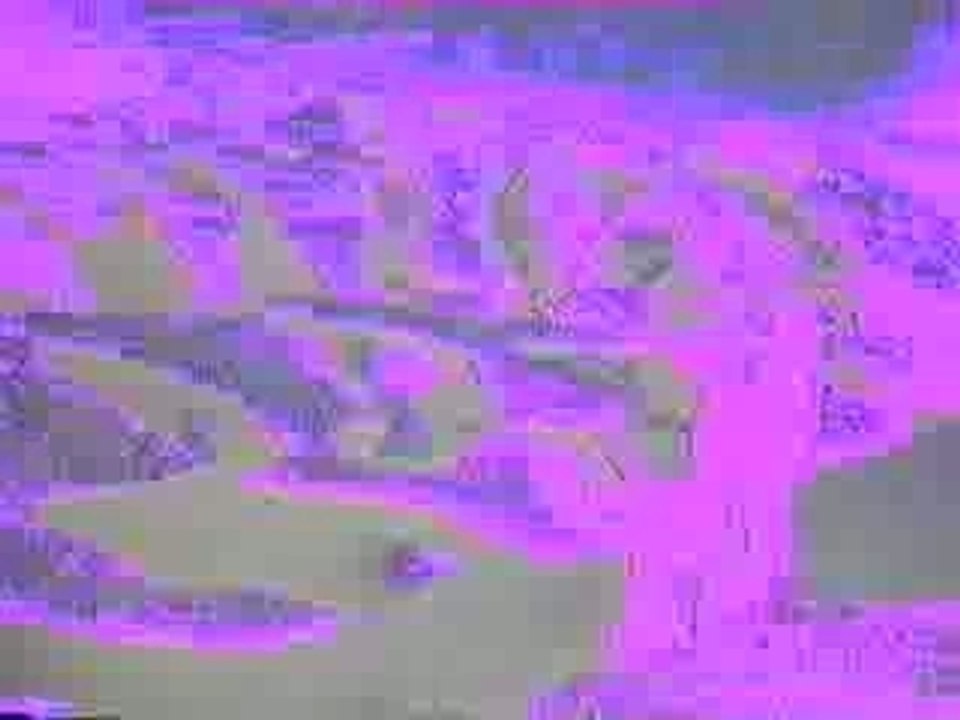 Sanaa_01 ssnp