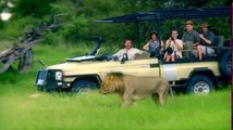 Safari Brothers S01 E01