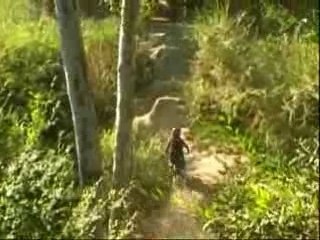 Compilation Pitbike ! 50's & KLX110 Vol 1 !