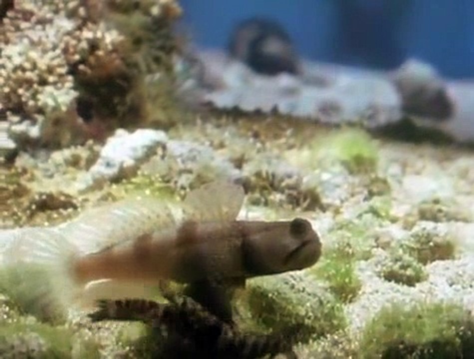 Killing For A Living S01 E04