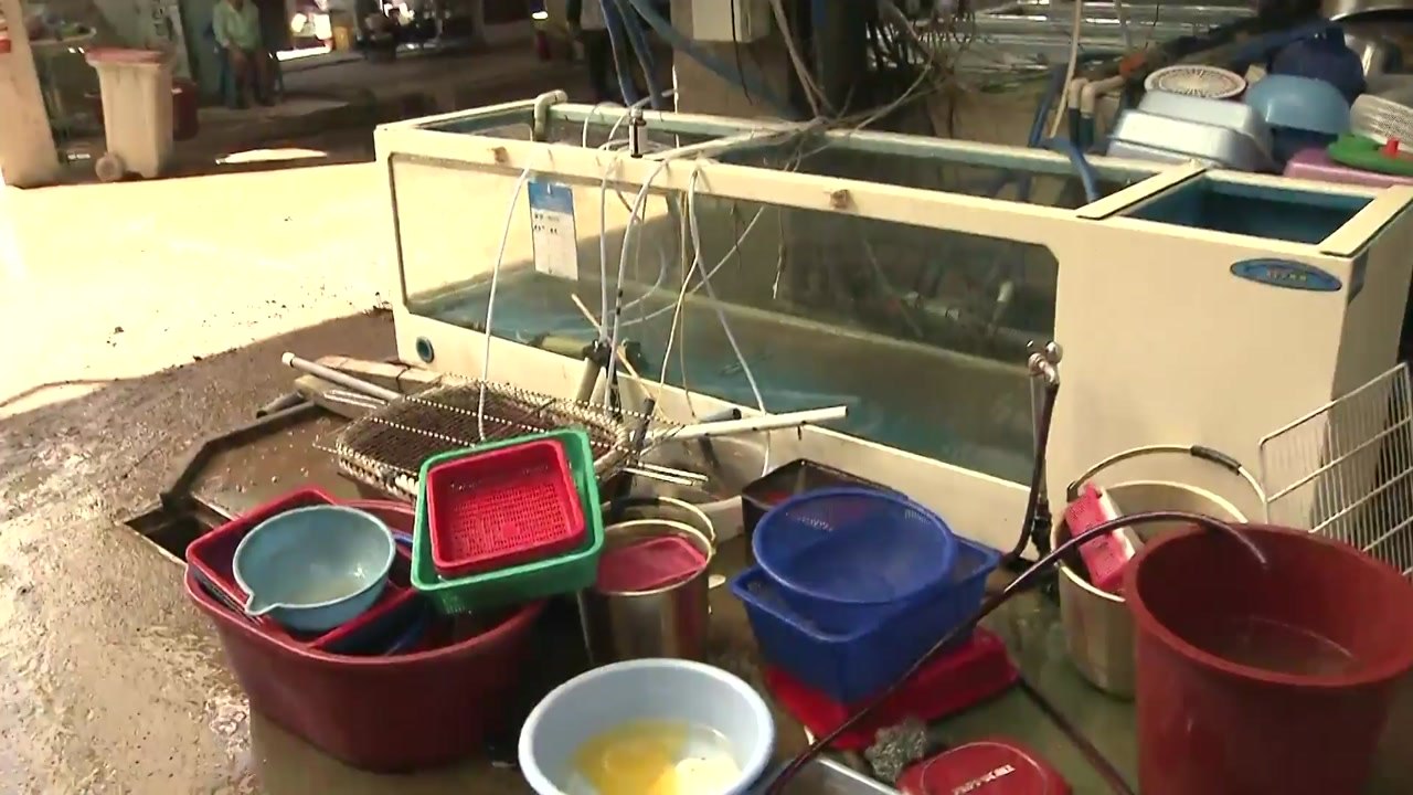 '물 폭탄'에 아수라장 된 강구시장...피해 복구 '구슬땀' / YTN