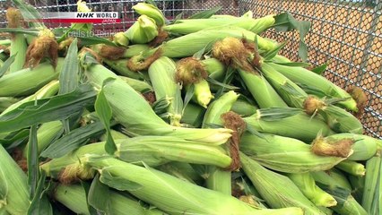 Trails To Tsukiji S04E19 Corn Ebi