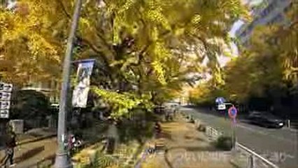 【聖地巡礼】名シーンの現場に突入！～義母と娘のブルース～【ロケ地】