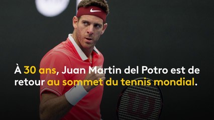 Tennis : del Potro, l’année de la renaissance