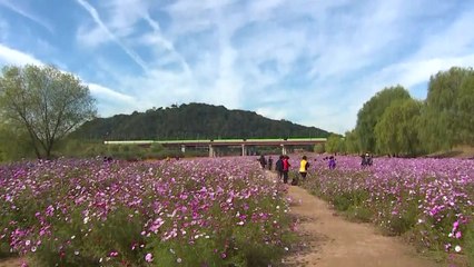 [날씨] 절기 '한로' 쾌청한 가을...가을볕에 기온 껑충 / YTN