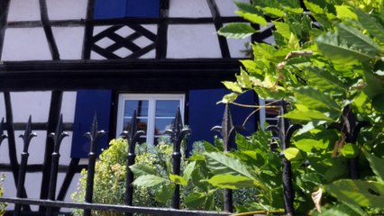 Cook, le premier espace de co-working européen dédié à la prévention en santé et alimentaire