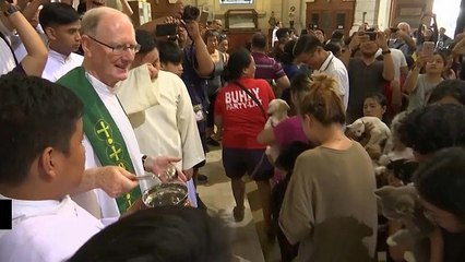 Bénédiction annuelle d'animaux de compagnie dans une église de Manille