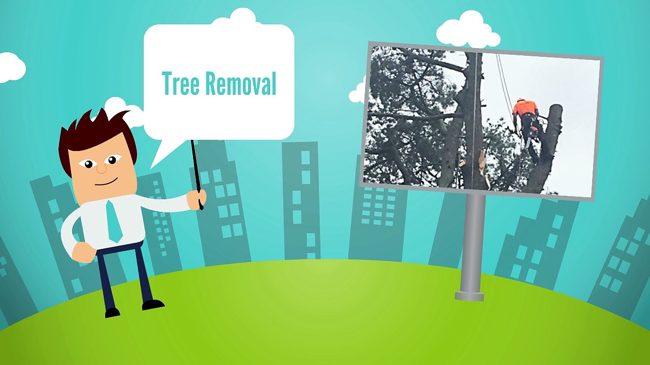 How to mintain you tree during winter