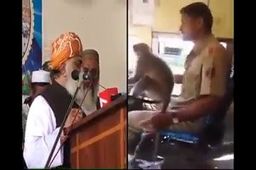 MAULANA FAZL UR REHAMAN BANDAR