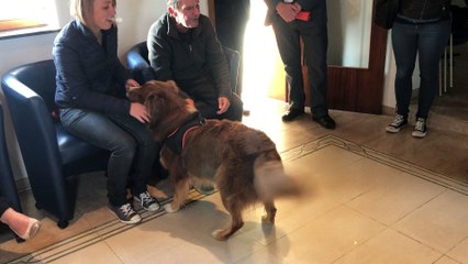 Mons: le CHU Amborise Paré organise des activités thérapeutiques avec des chiens en partenariat avec l'ASBL MABEA