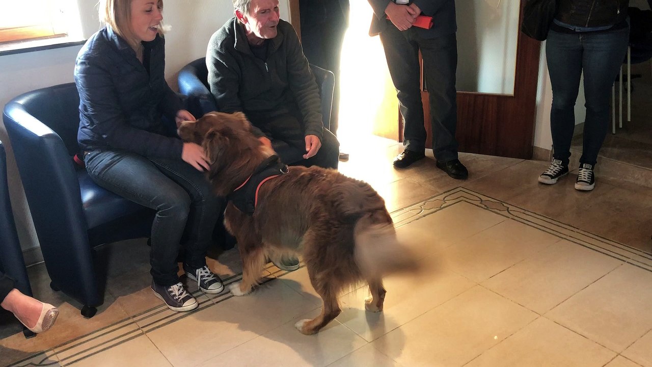 Mons: le CHU Amborise Paré organise des activités thérapeutiques avec des chiens en partenariat avec l'ASBL MABEA