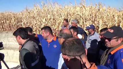 Ekipler, obruk içine düşen tilki için seferber oldu - KONYA