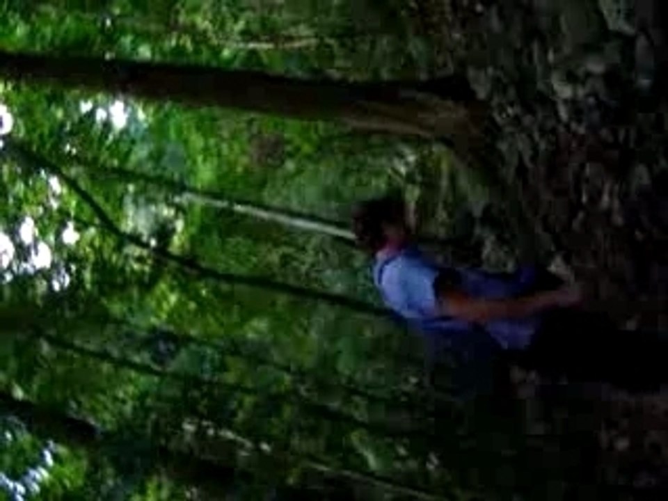 les dangers de la jungle