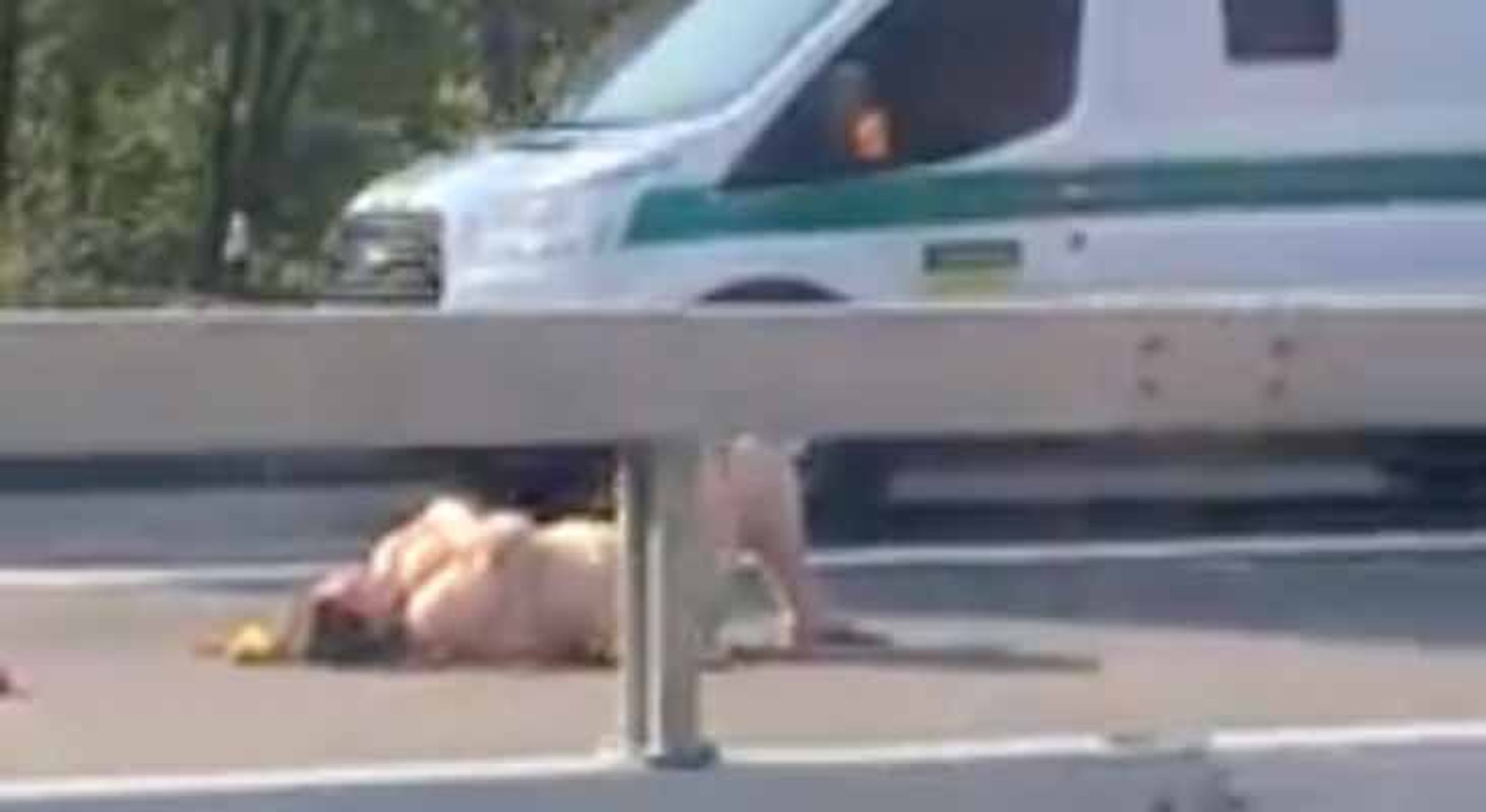 Une femme nue sur la route cherche le grand amour - Vidéo Dailymotion