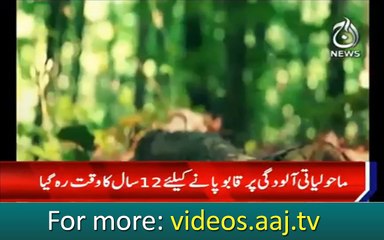 The IPCC global warming report