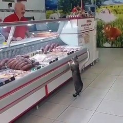 Don't say anything just Rt