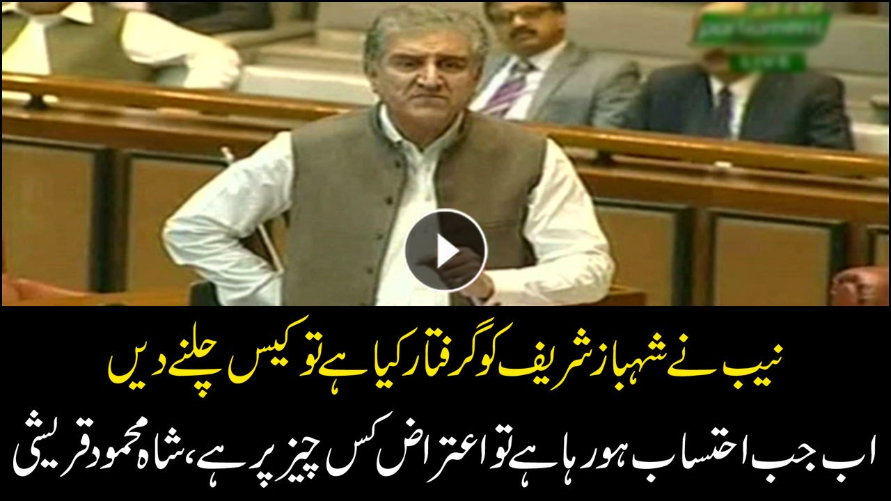 NAB has arrested Shahbaz Sharif, let the case go on: Shah Mehmood