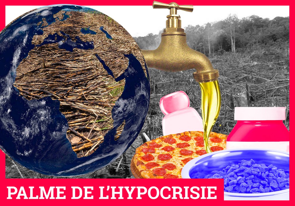 Huile de palme : paroles, paroles, paroles...