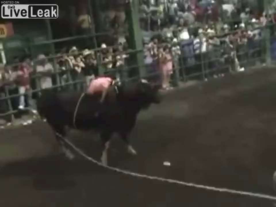 Rodéo - elle s'évanouit et se fait secouer par le taureau dans tous les sens