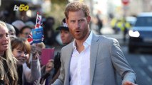 Should Prince Harry Become an Ambassador to the U.S.? One British Politician Thinks So