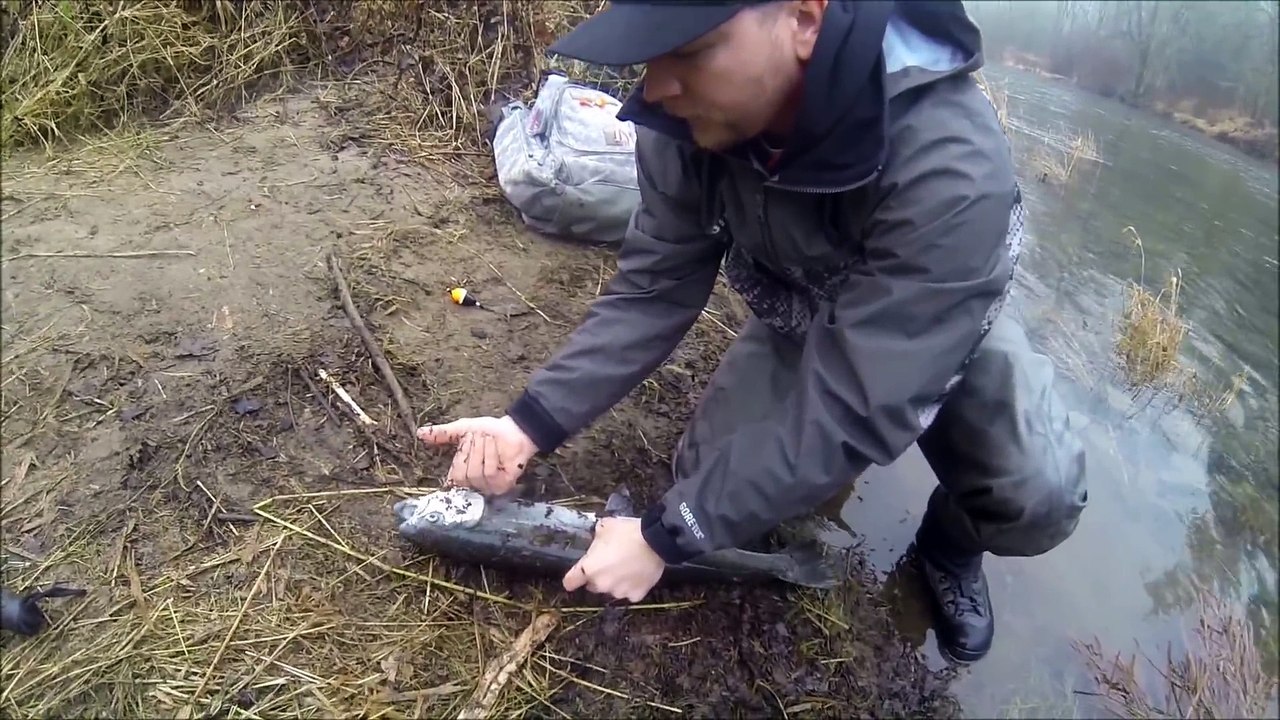 How-to- - The Best Way to Bleed Out a Salmon or Steelhead