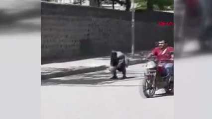 Şanlıurfa Siverek'te Yaşlı Adamın Topla İmtihanı Gülümsetti