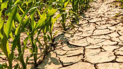 Nach dem Traumsommer: Diese Lebensmittel werden jetzt teurer!
