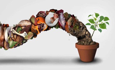 Pourquoi et comment faire son compost